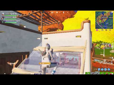 fortnite ქართულად Road  120 sub